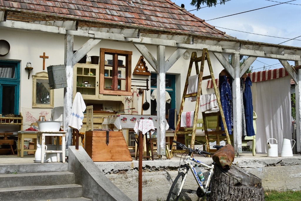 artpiknik_cered_2023